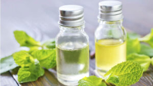 Phương pháp sản xuất tinh dầu